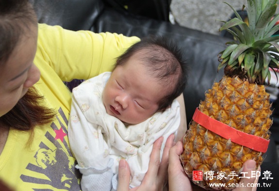 鄭寶寶(新北板橋區到府嬰兒寶寶滿月剃頭理髮、免費到府嬰兒剃胎毛儀式吉祥話)。到府剃頭剃胎毛主持、專業拍照、DVD光碟、證書。★購買「臍帶章、肚臍章、胎毛筆刷印章」贈送：剃頭、收涎、抓周，三選一。2015.10.27 照片14